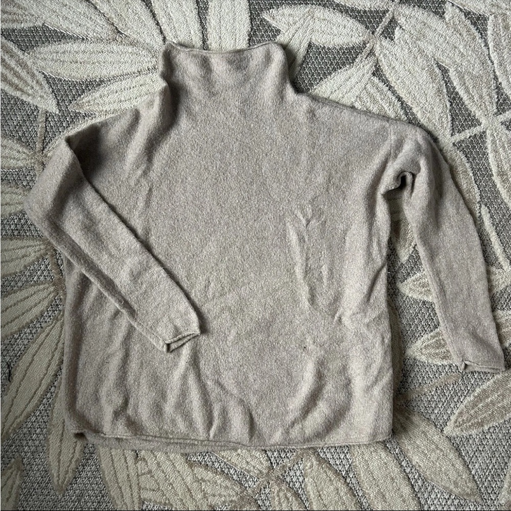 Philosophy Taupe Turtleneck Sweater